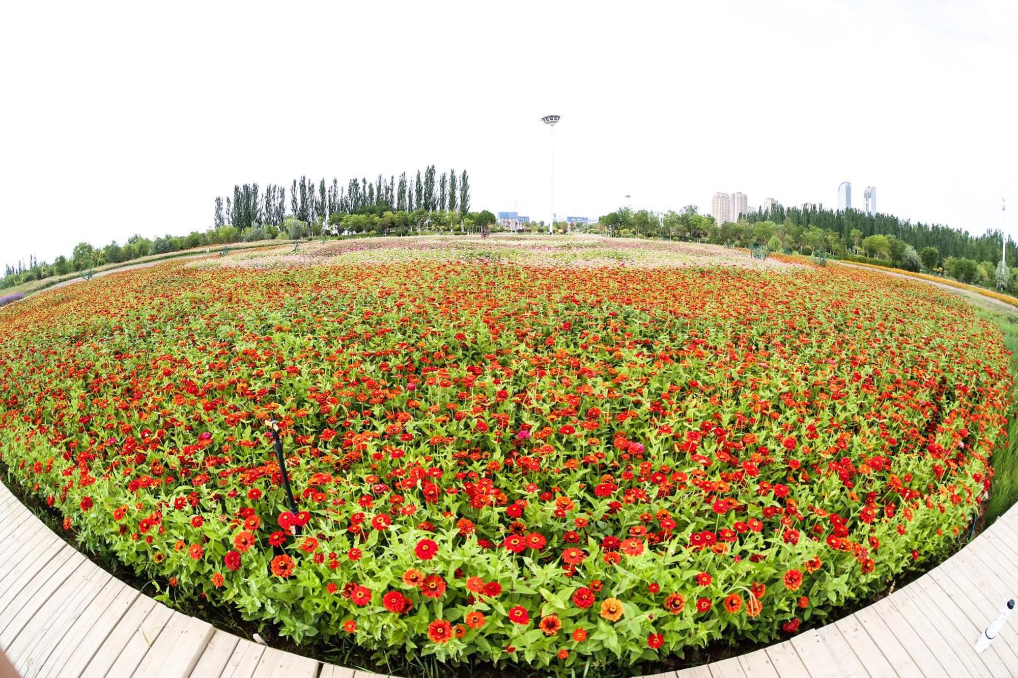 Yinchuan International Centro de Convenciones Hotel Exterior foto